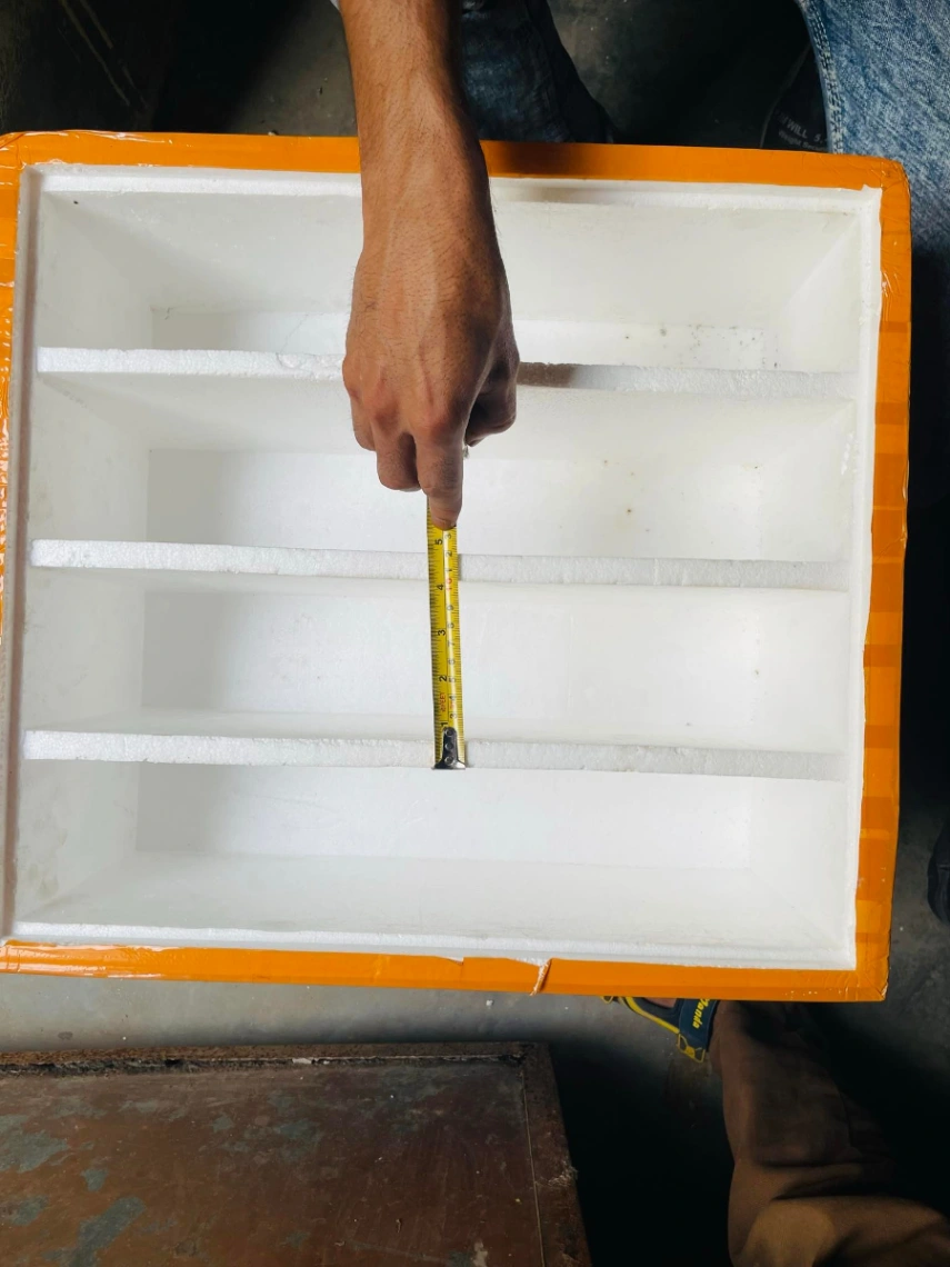 Fish for breeding box 5