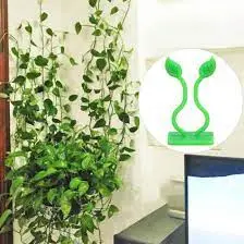 Plant Climbing Wall Clips10 Pcs 6
