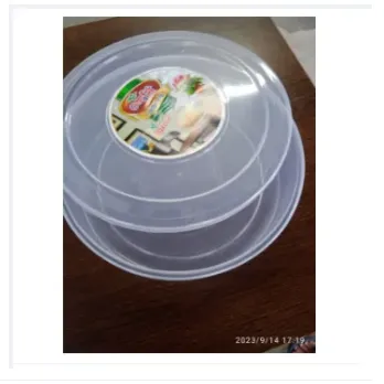 Roti Box -1pis 3
