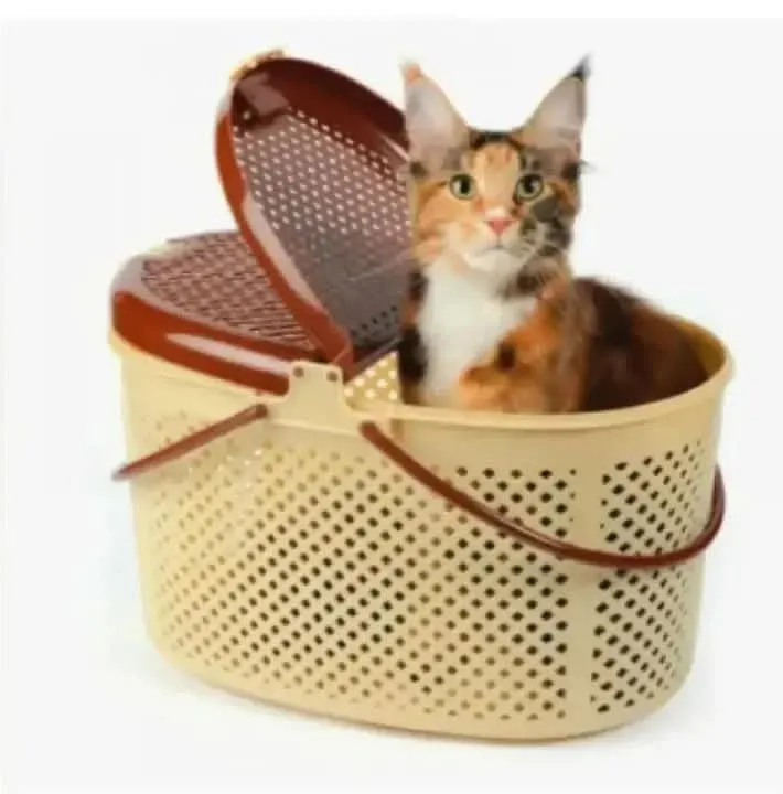 Image of Big size plastic basket for use various purpose like that to cary cloth, cat, dog etc