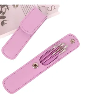 Stainless Steel Ear Cleaner Set With Lather Case - 6 Pieces