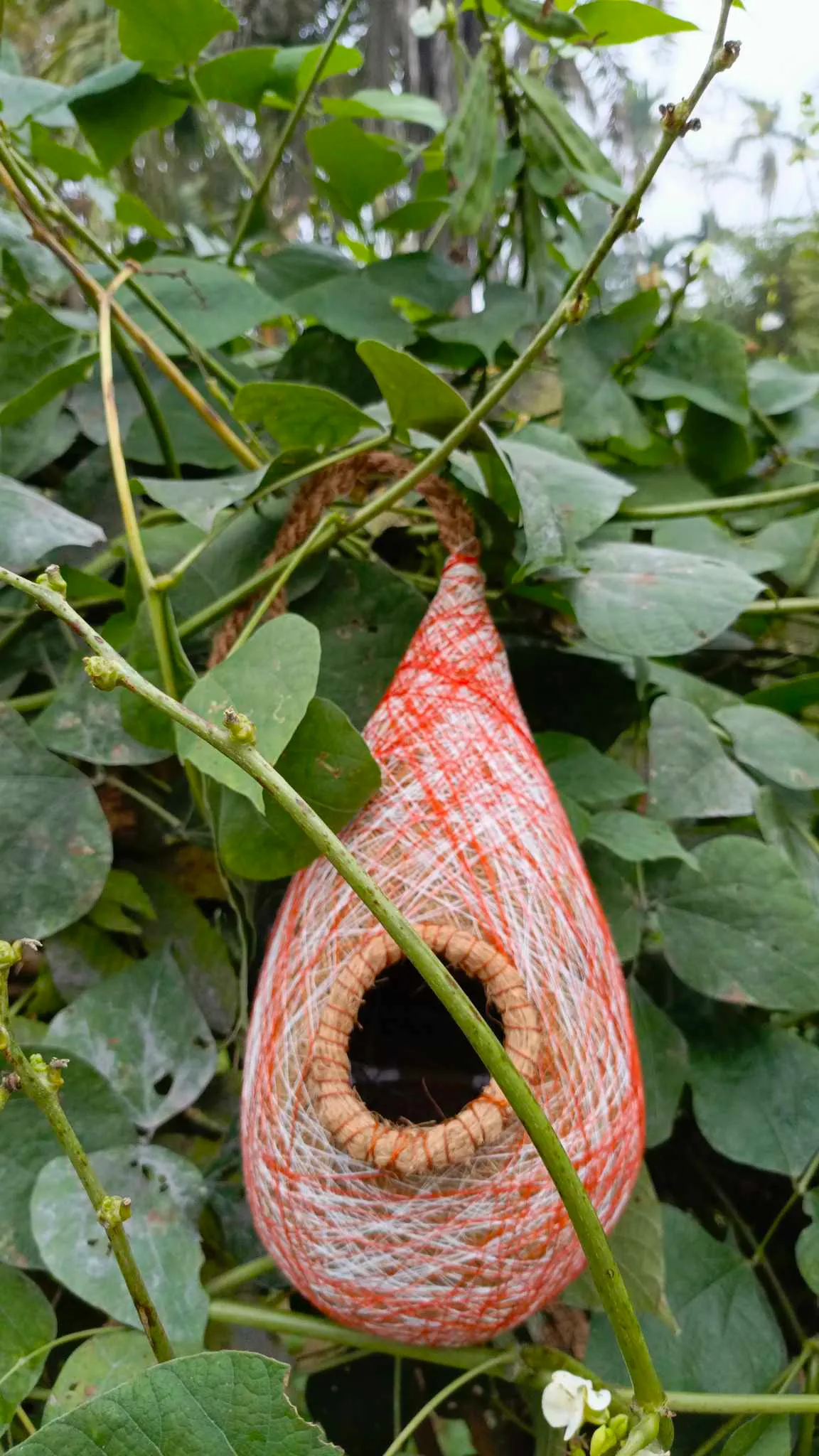Image of হ্যাংগিং পাখির বাসা (হাতের তৈরি)