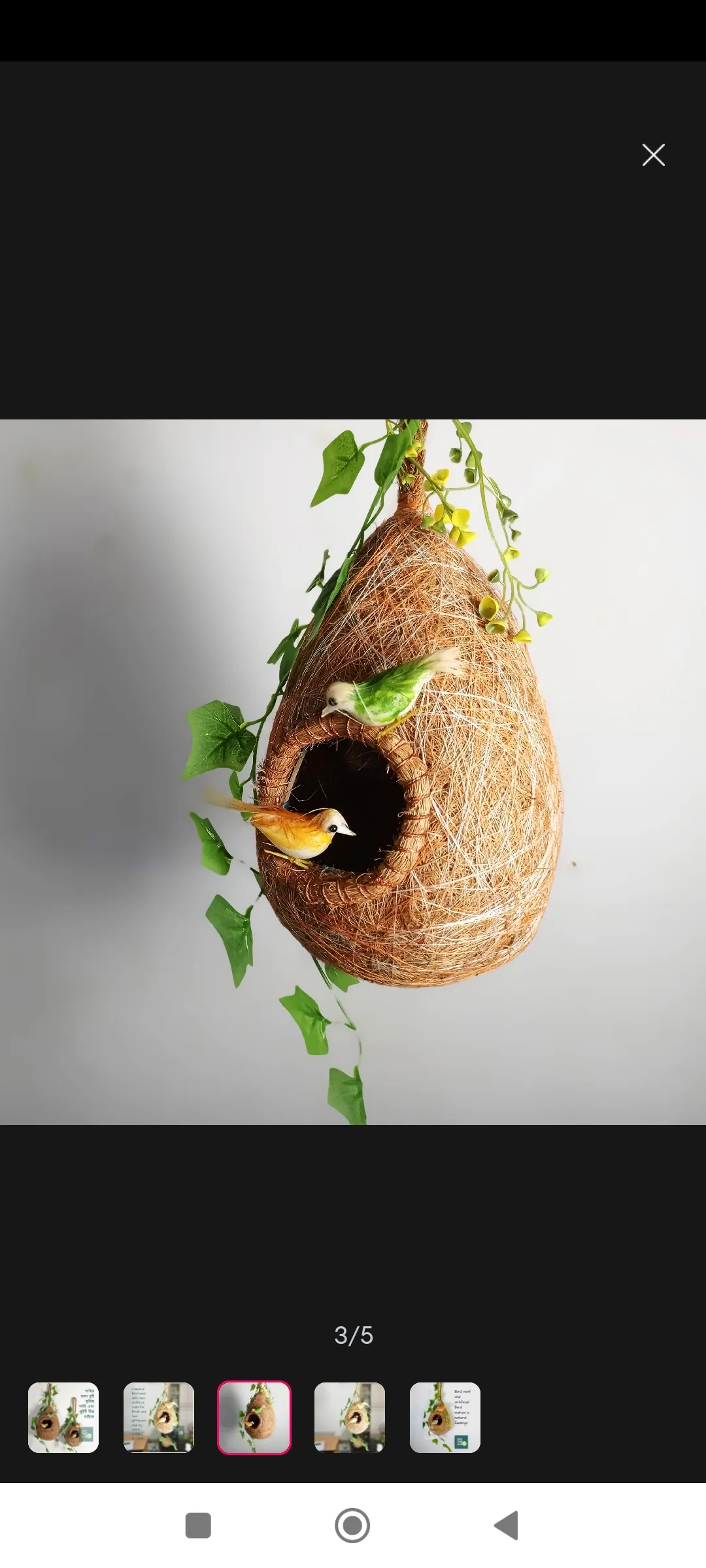 Hanging Bird Nest with two birds & plant for home and garden decor. Babui Pakhir Basha 3