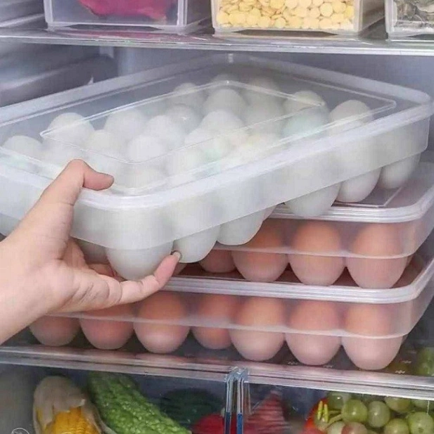 Egg Storage Box 24 Grids Plastic 4