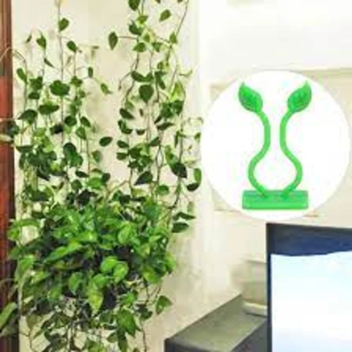 10 pcs Plant Climbing Wall Fixture Clips 2