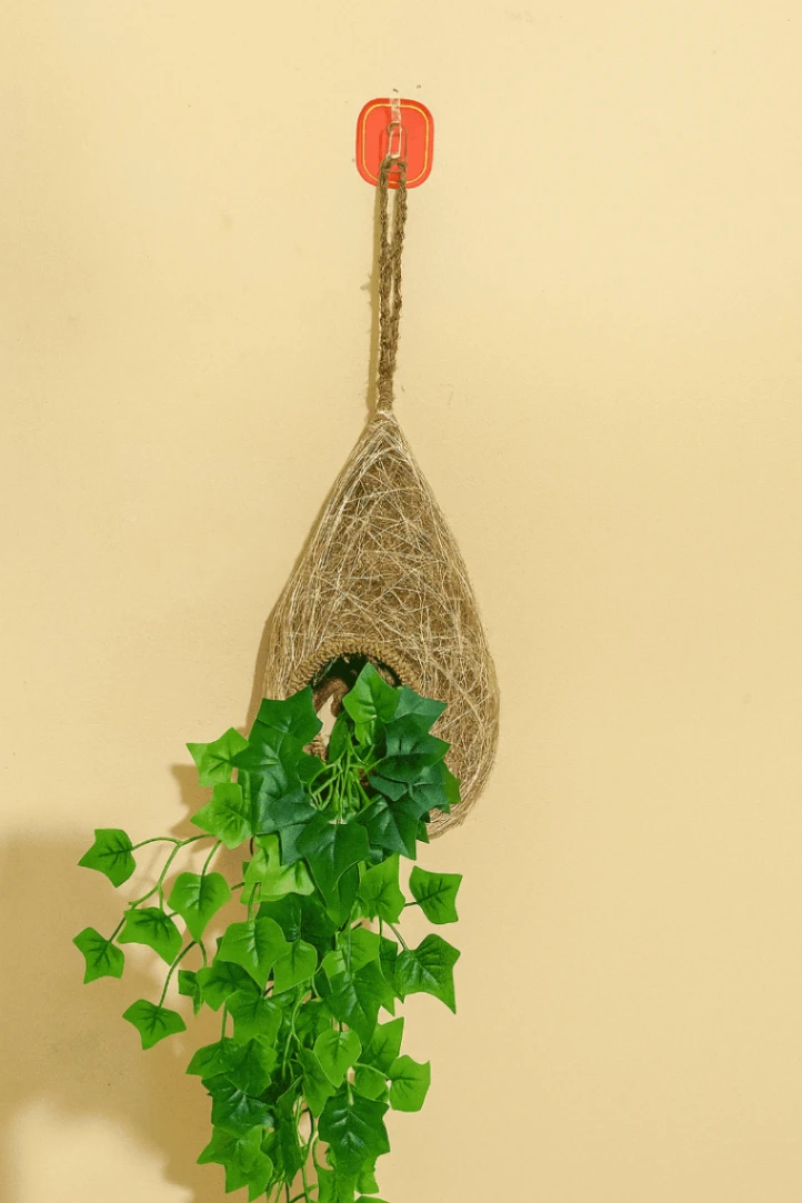 Babui bird&#x27;s nest and artificial vine - combined decoration 4