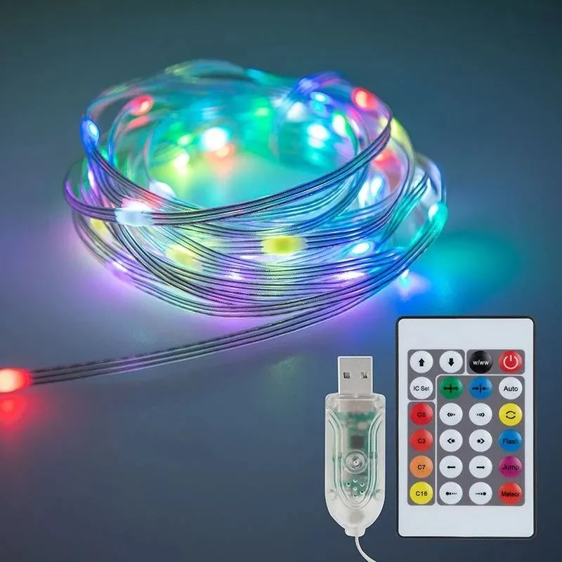 Dream Fairy Lights Smart Pixel RGBIC LED 33ft 10m USB Powered Remote Controller & Smart App 3