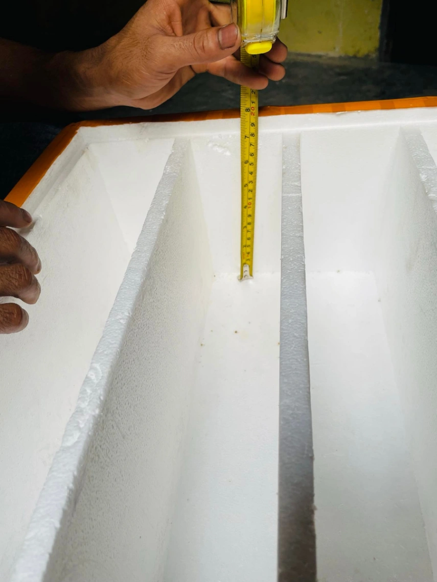 Fish for breeding box 3