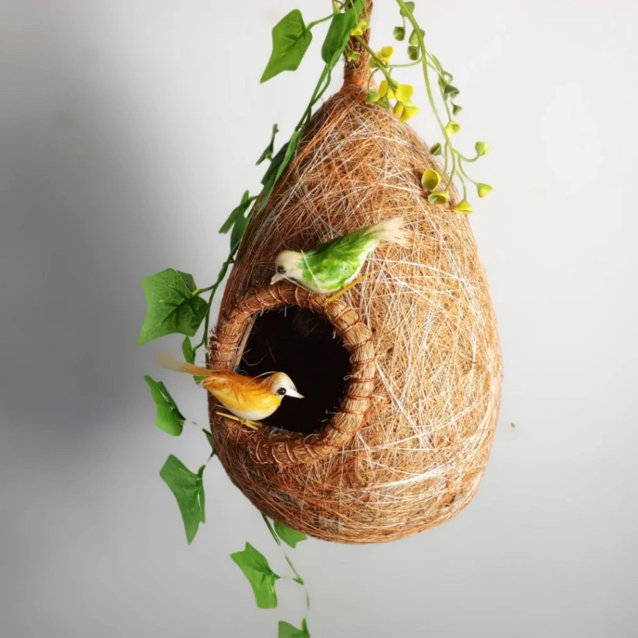 2 Pice Bird Nest-Babui Pakhir Basa 6