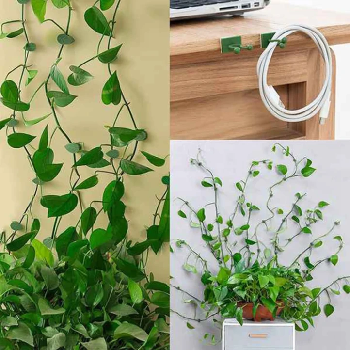 10 pcs Plant Climbing Wall Fixture Clips 7