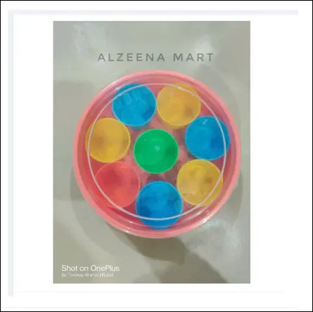 Plastic Masala Box Multicolor 8pcs box 4
