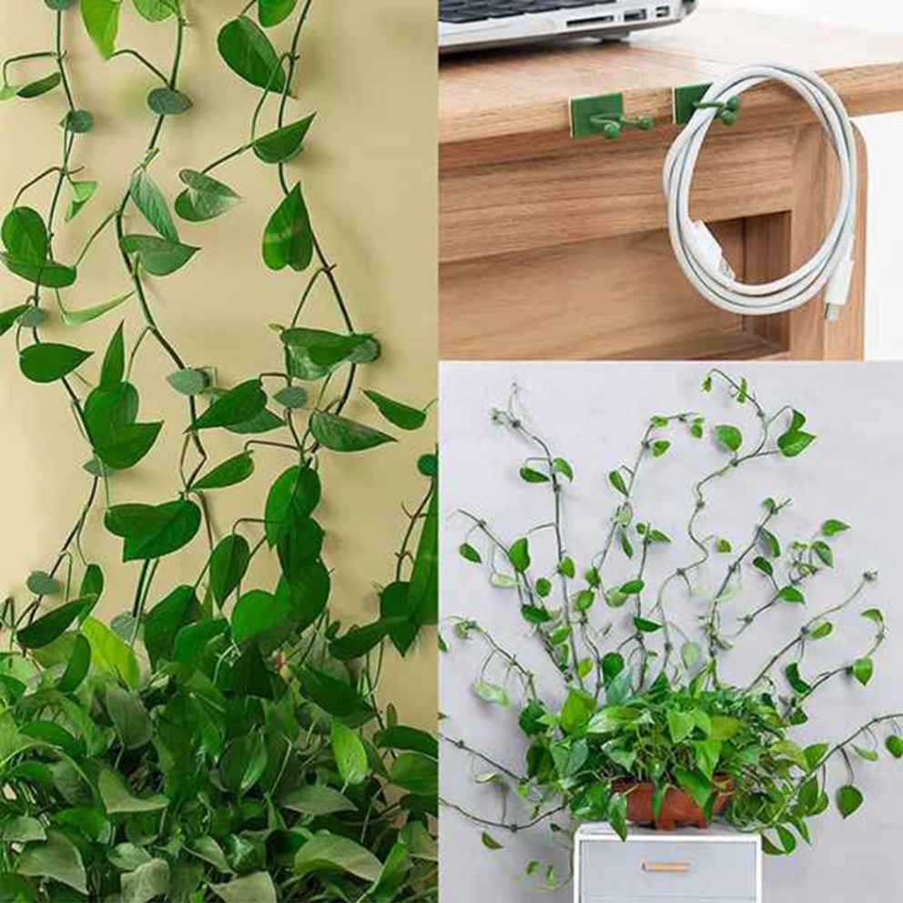 Plant Climbing Wall Clips10 Pcs 5