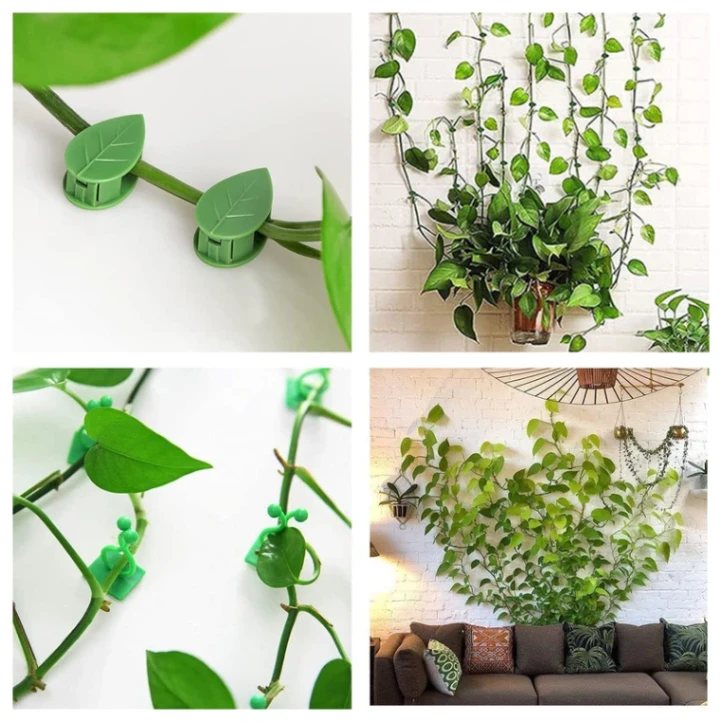 10 pcs Plant Climbing Wall Fixture Clips 3