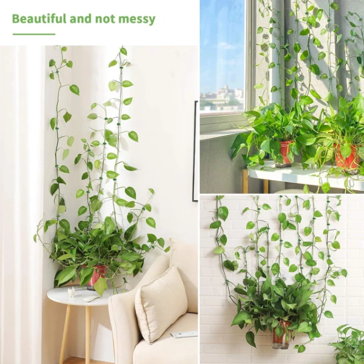 10 pcs Plant Climbing Wall Fixture Clips 5