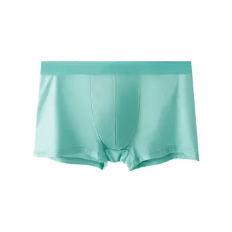 Underwear Underpants Men's ice silk panties Transparent Trunks Men's Panties Bxoers Shorts For Men Ice Silk Soft Male Panties Quick Dry Innerwear Man Underwear Boxer 6