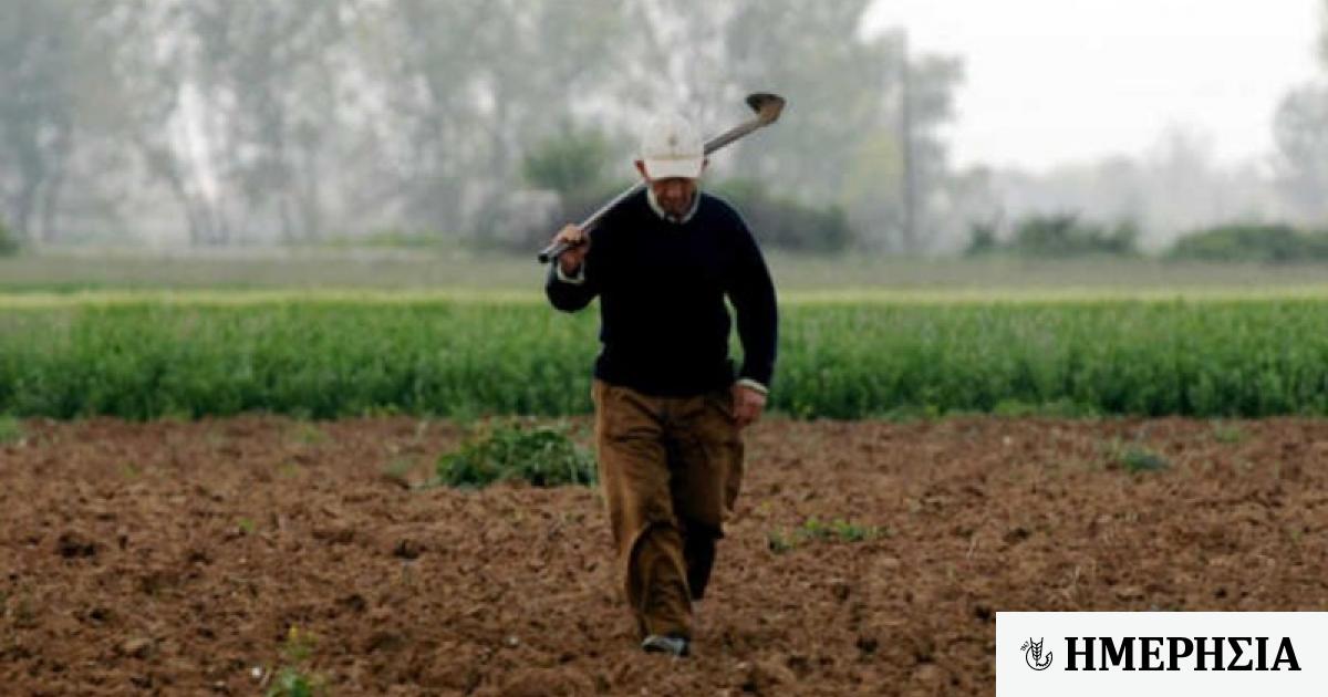 Και τα αδέλφια των αγροτών θα μπορούν να χρησιμοποιούν τα αγροτικά αυτοκίνητα 1 kai ta adelfia ton agroton tha mporoyn na chrisimopoioyn ta agrotika aytokinita 63fed10e4ff3c