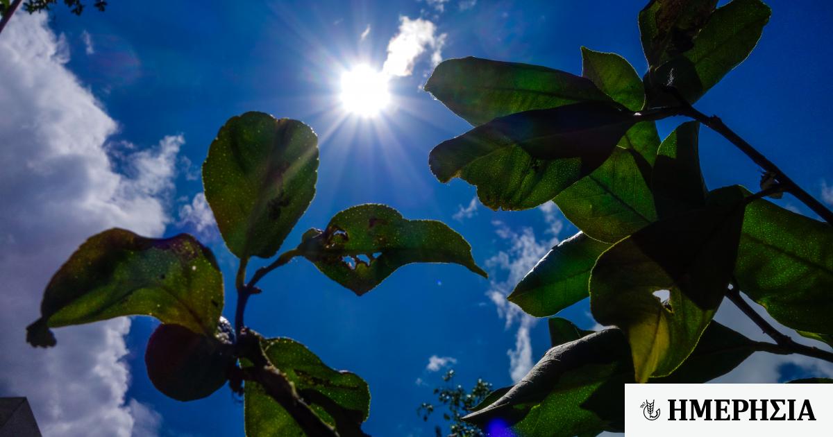 Καιρός - Meteo: Ηλιοφάνεια με αραιές νεφώσεις και άνοδος της θερμοκρασίας 1 kairos amp 8211 meteo iliofaneia me araies nefoseis kai anodos tis thermokrasias 6437df6bd8118