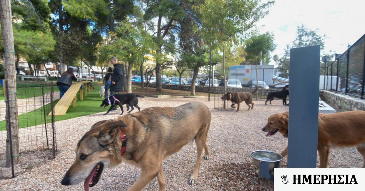 Νομοσχέδιο για ΟΤΑ: Ερχεται πλατφόρμα υιοθεσιών ζώων συντροφιάς 1 nomoschedio gia ota erchetai platforma yiothesion zoon syntrofias 651c3943ec406