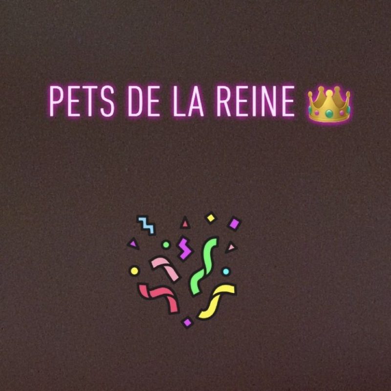 Compilation de pets qui résonnent 💨💨