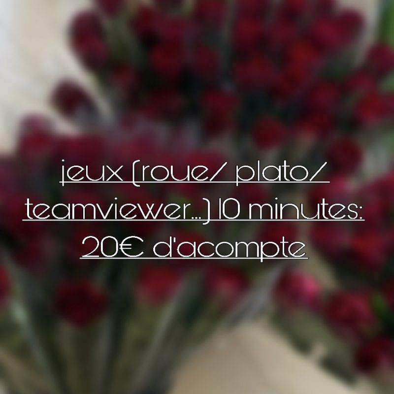 jeux (roue/plato/ teamviewer)10 minutes. 20€ d'acompte