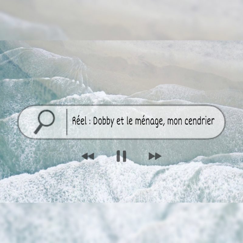 Réel : Dobby et le ménage, mon cendrier