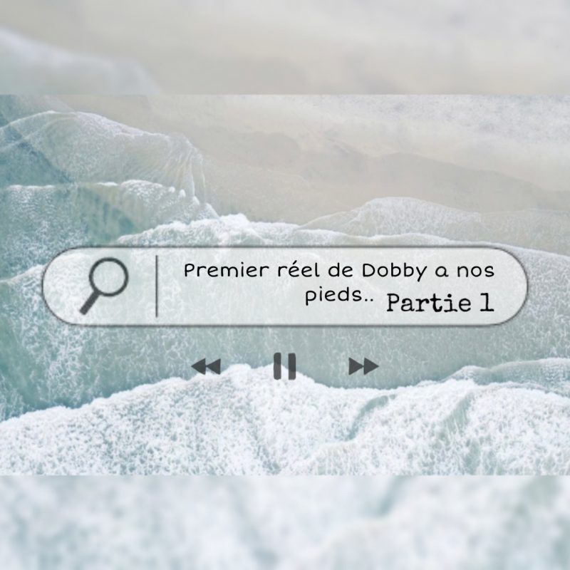 Premier réel de Dobby a nos pieds.. Partie 1