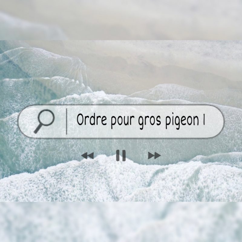 Ordre pigeon 1