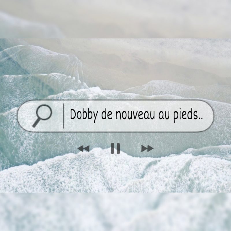 Dobby de nouveau au pieds..