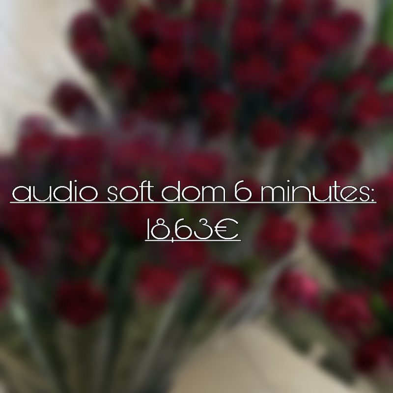audio soft dom 6 minutes: 18,63€