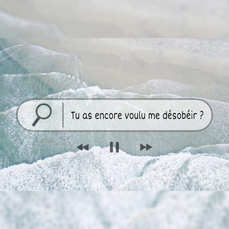 Tu a encore voulu me désobeir?