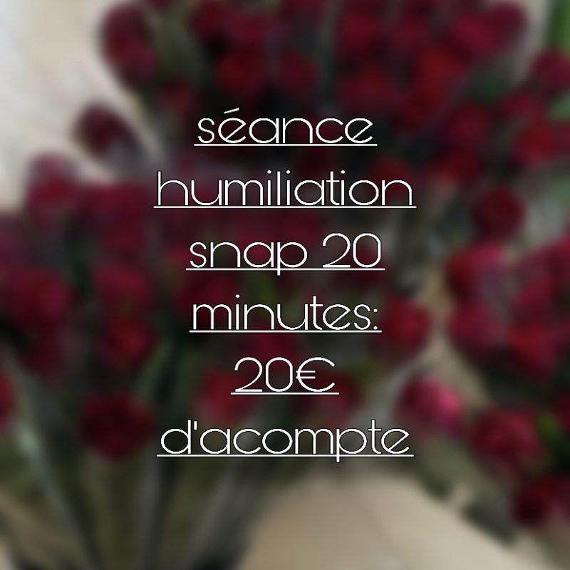 séance 20 minutes 20€ d'acompte