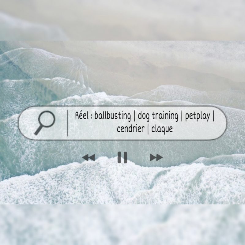 Réel : ballbusting | dog training | petplay | claque