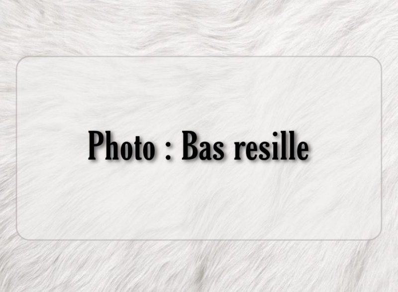 Photo : pieds en bas résille