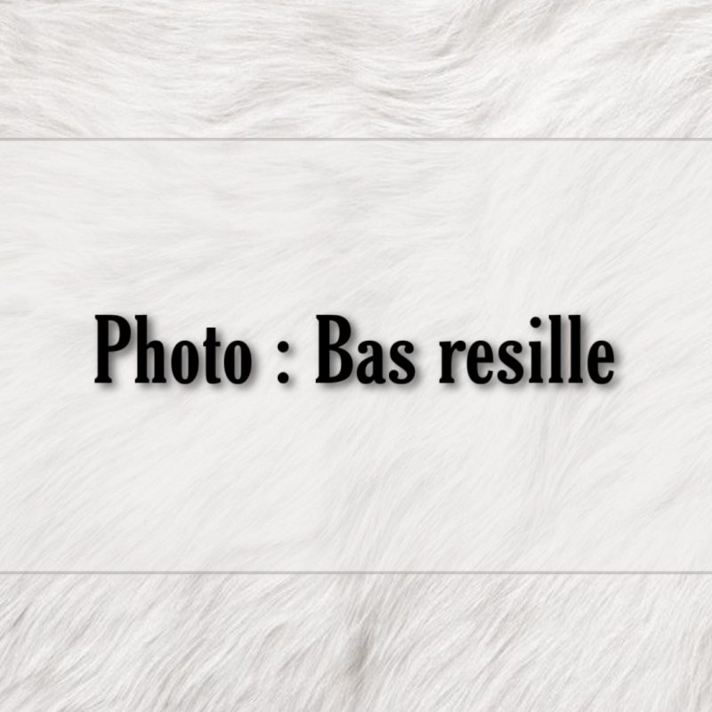 Photo : Bas résilles