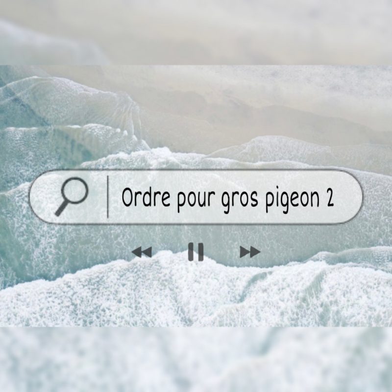 Ordre pigeon 2