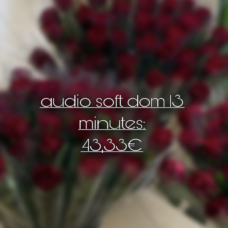 audio soft dom 13 minutes: 43,33€