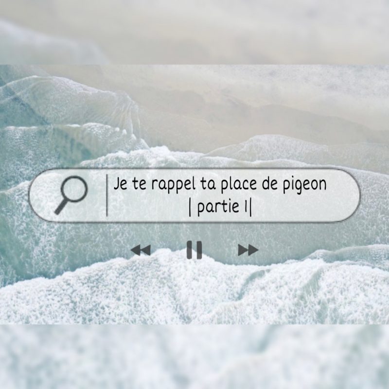 Je te rappel ta place de pigeon | partie 1 |