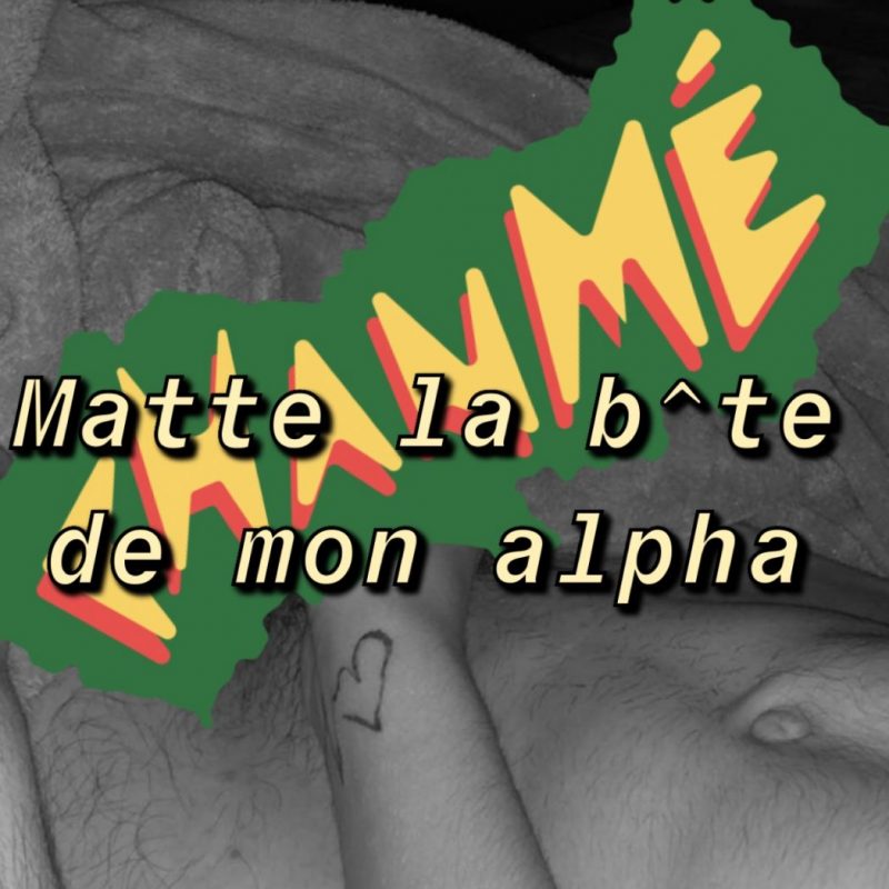 Matte la b**** de mon alpha