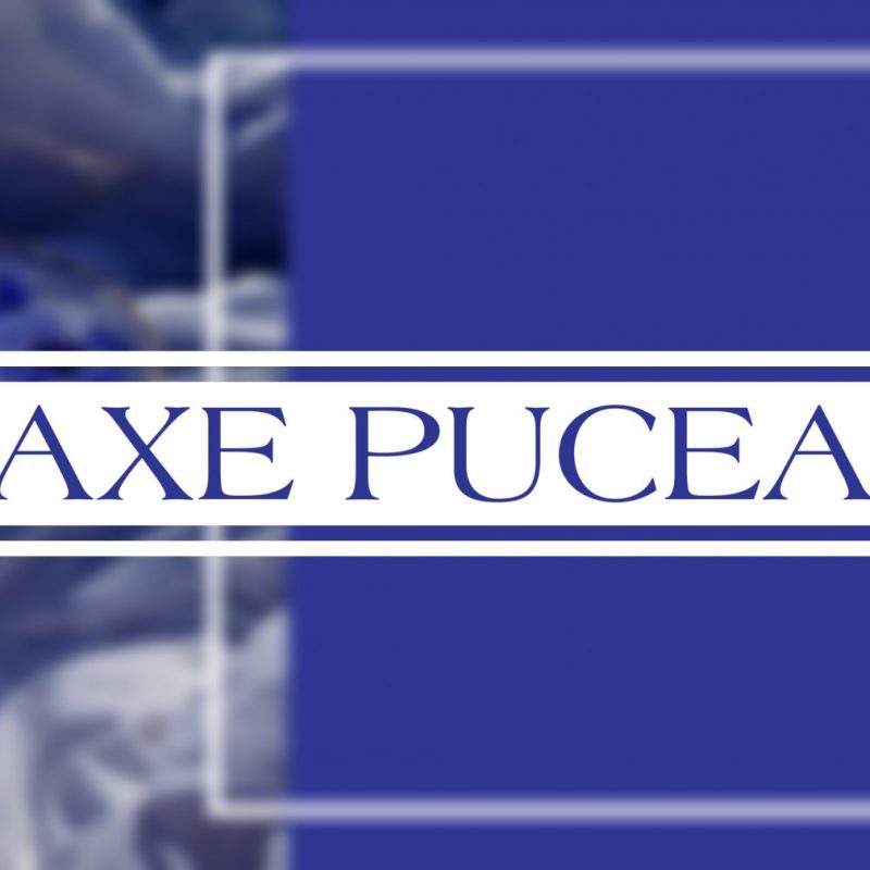 Taxe du puceau