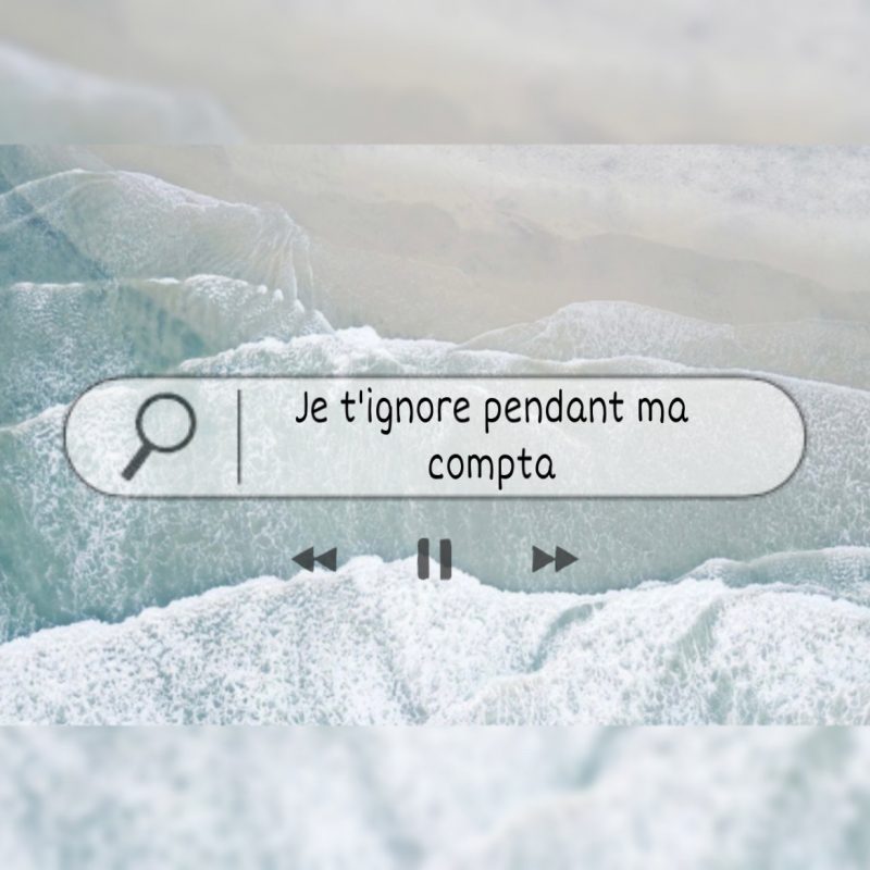Je t'ignore pendant ma compta