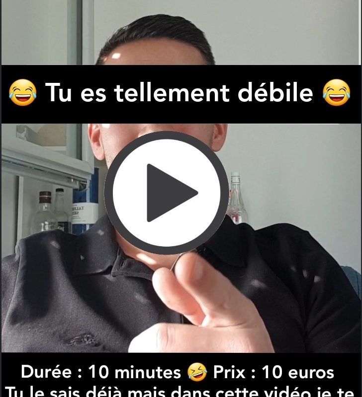 📽 Spécial Pigeon: Tu es tellement débile