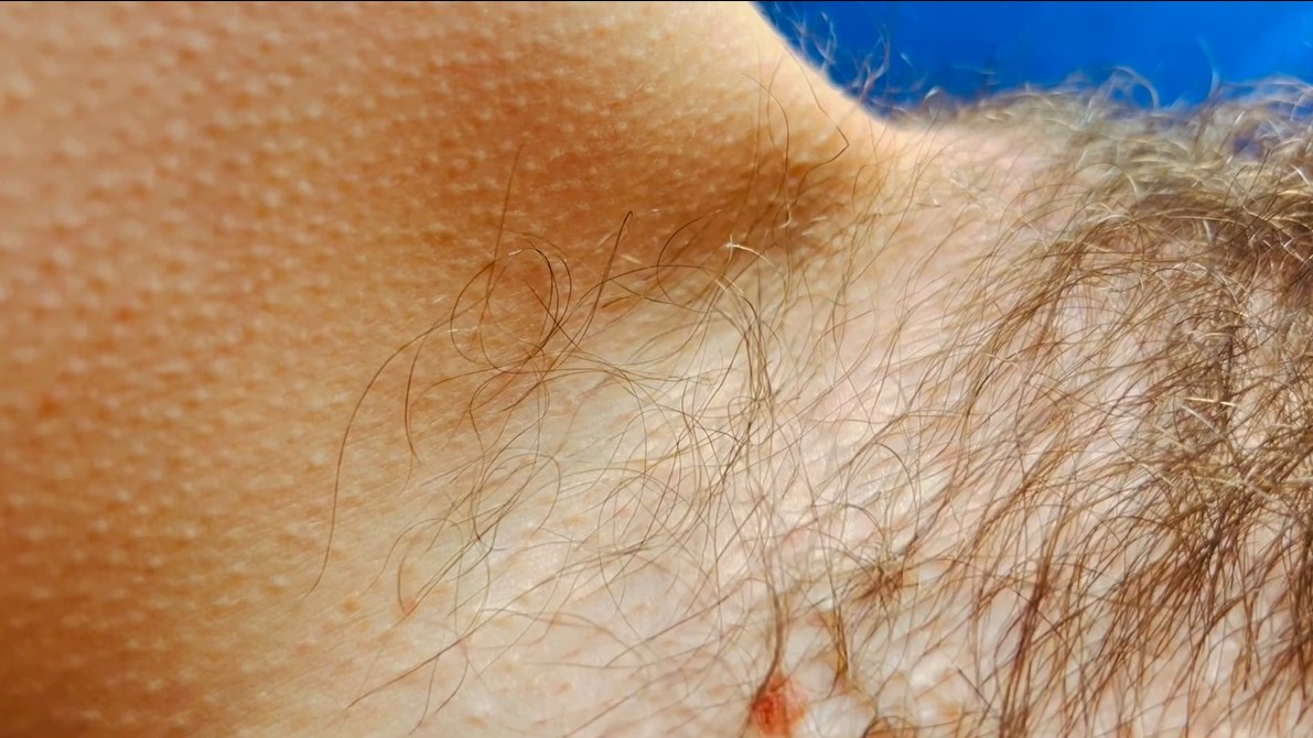 Tout pour mes 𝗣𝗢𝗜𝗟𝗦 pubiens 🌿💦 – Image 4