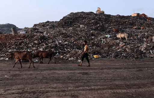 How Second-Hand Building Materials Reduce Landfill Waste
