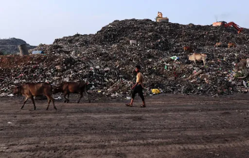 How Second-Hand Building Materials Reduce Landfill Waste