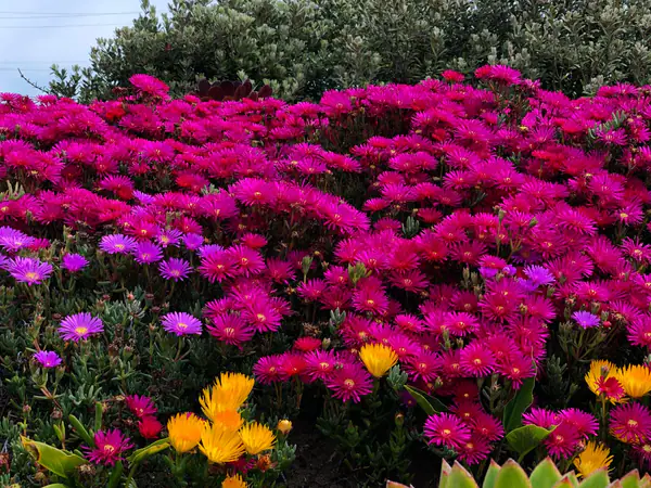 Test Post 2