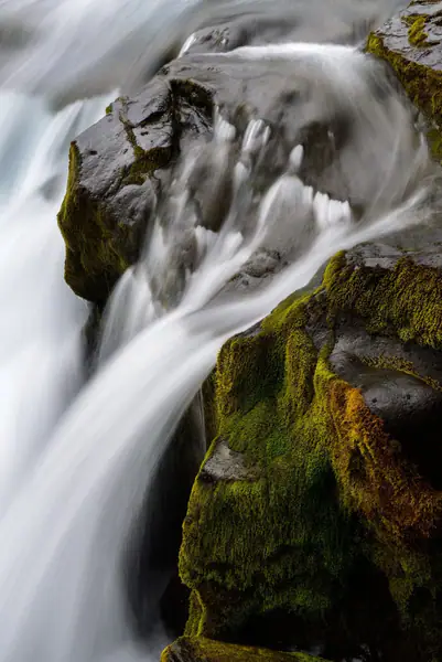 Multi pics