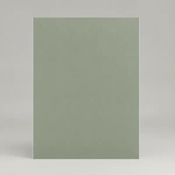 5/8" 4'X10' MOLD TOUGH ECOSMART FC X USG [26]