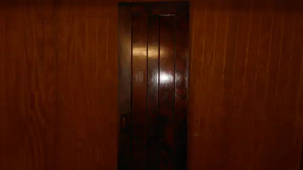Interior Birch Wood Doors from the 1920s. $175 Each