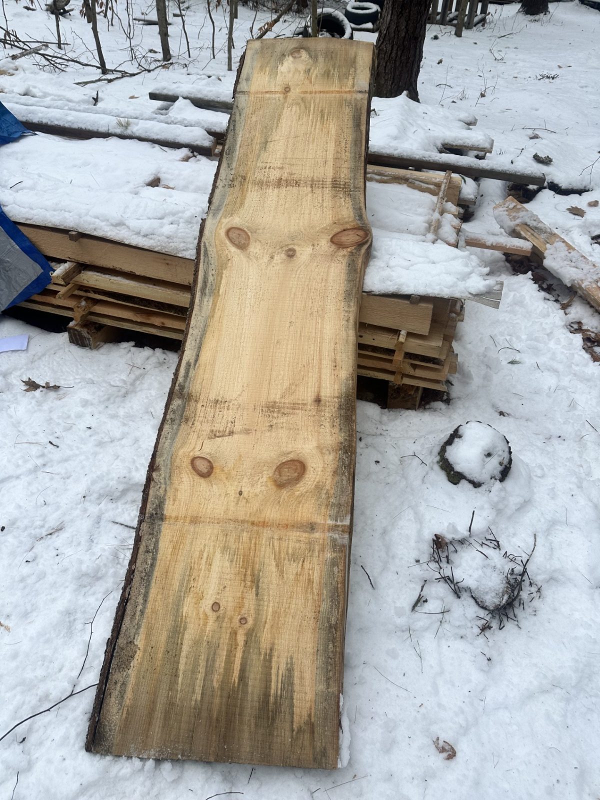 LIVE EDGE PINE BOARD 2" THICK