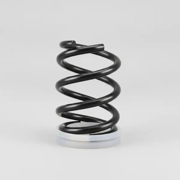 LOWER COIL SPRING WITH NYLON BEARINGS RENEGADE